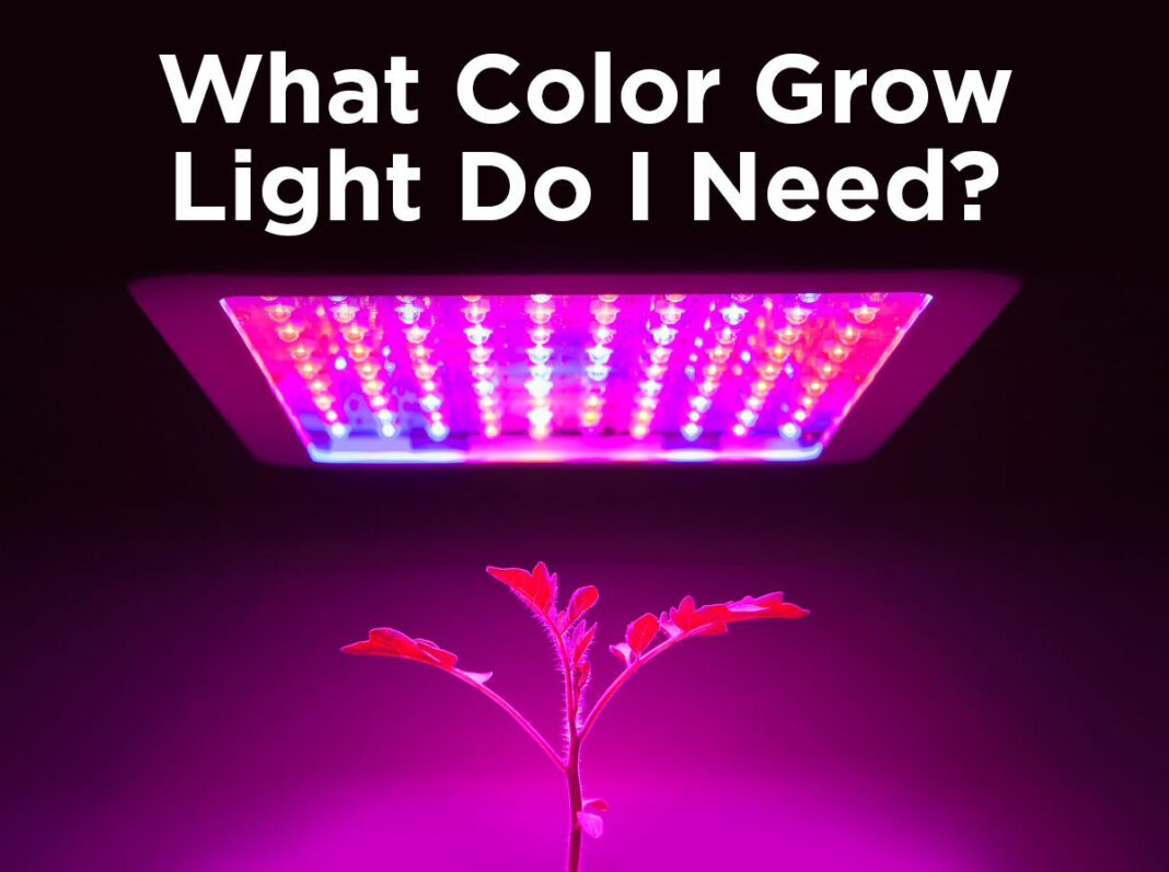 , LED grow lights
