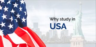 How Can You Study In the USA
